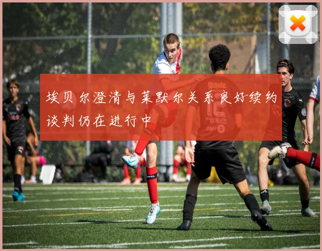 埃贝尔澄清与莱默尔关系良好续约谈判仍在进行中